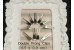 Double Prong Hair Clips (Pack of 25) - 4.5x0.9 cm